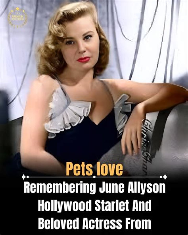 A Hollywood Icon And Beloved Actress