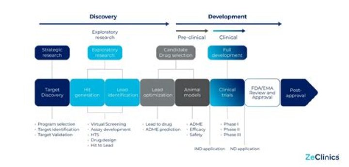 A Journey Of Discovery And Celebration
