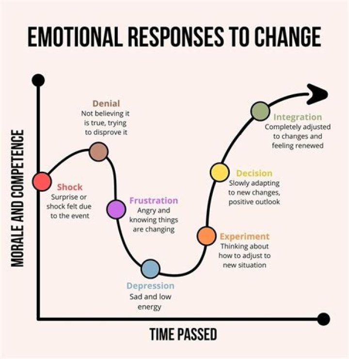 A Journey Of Emotion And Discovery