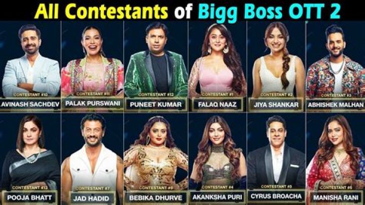 Age, Bigg Boss OTT2, And Marriage