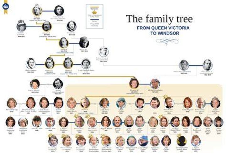 Are Brandon Lowe And Josh Lowe Related? Siblings And Family Tree