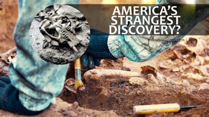 Discoveries And Hidden Insights Revealed