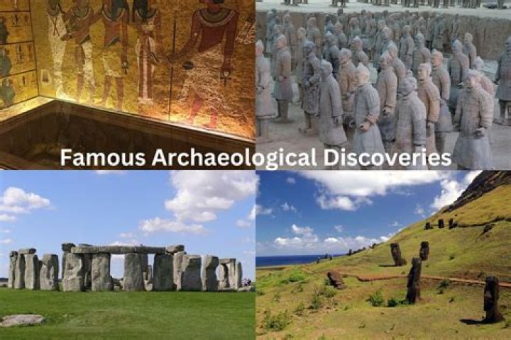 Discoveries And Insights Into A Champion's Journey