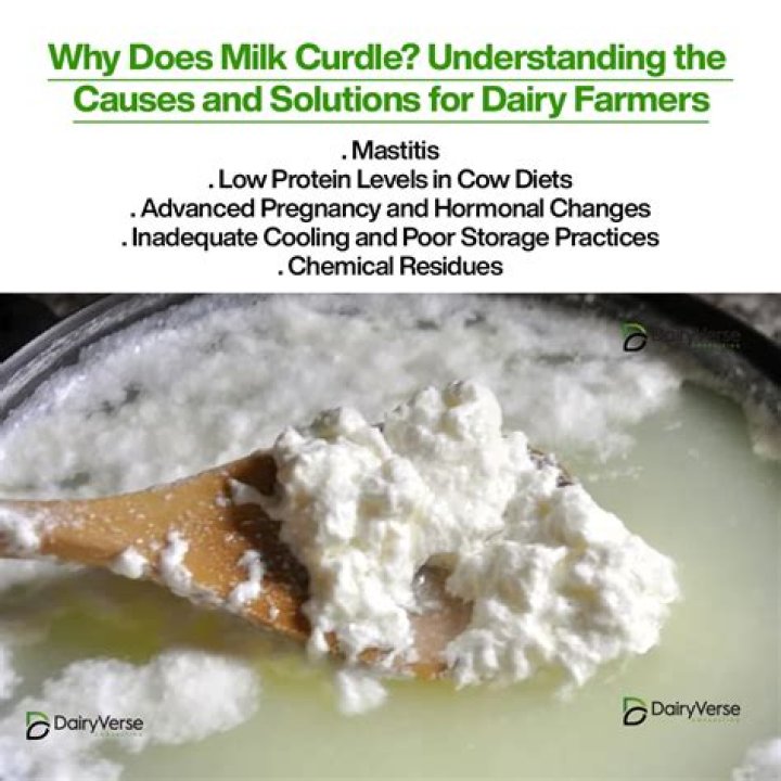 Does milk and vodka curdle?