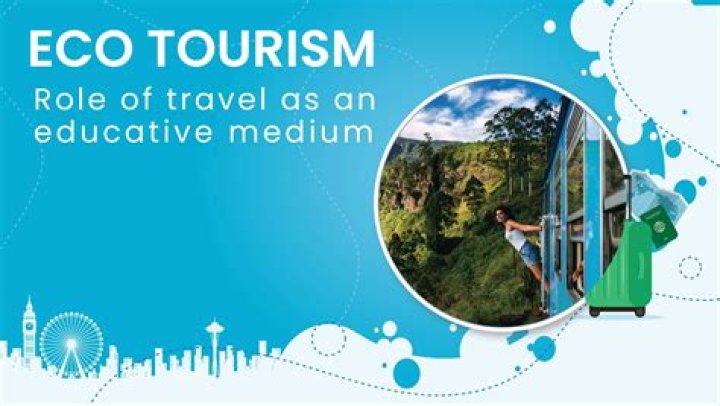 Essential Insights For Tourists And Locals