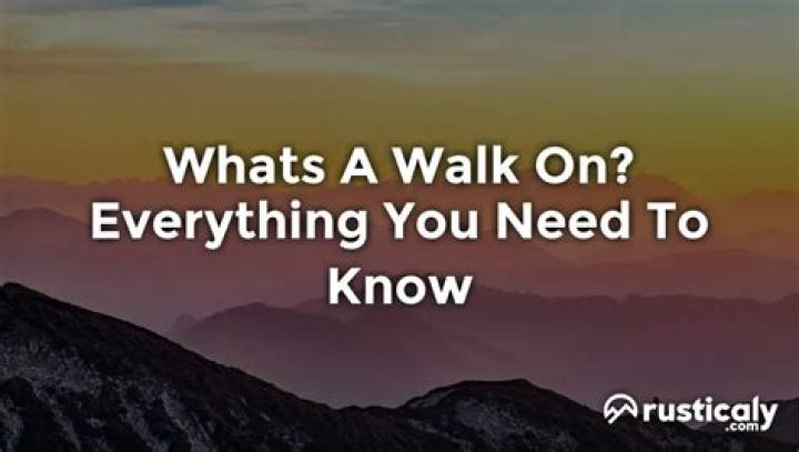 Everything You Should Know ·