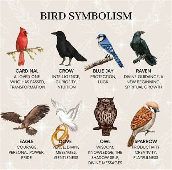 Explore Their Power And Symbolism