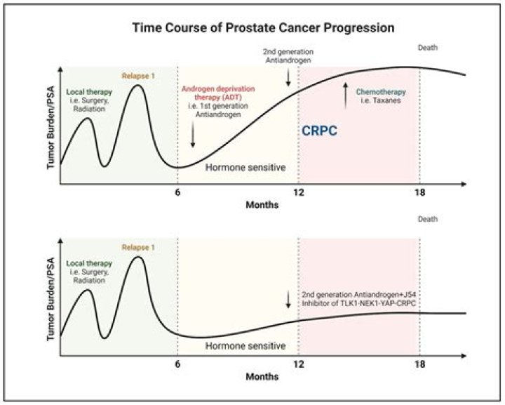 Insights Into Prostate Cancer And Beyond