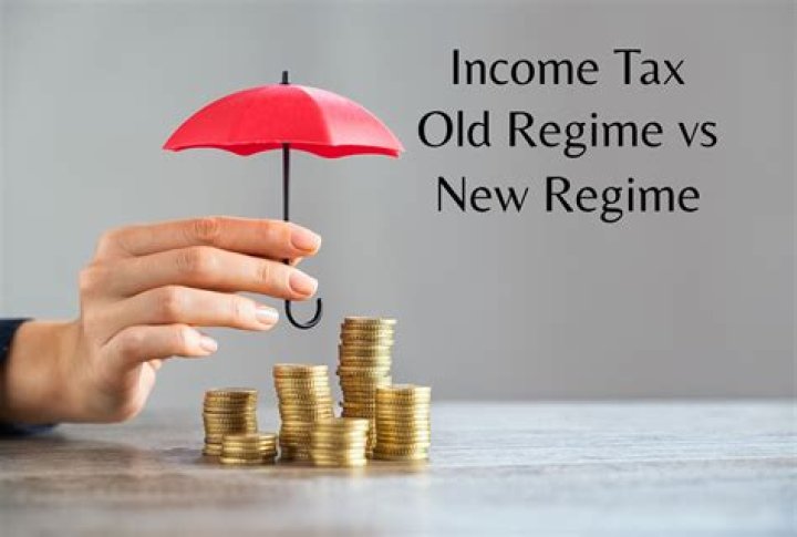 Insights Into Tom Segura's Income