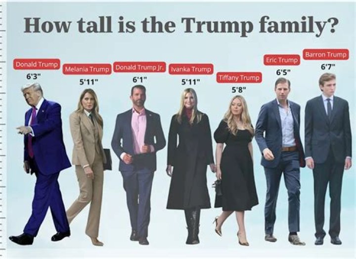 Jacksfilms Height: How Tall Is Jacksfilms?