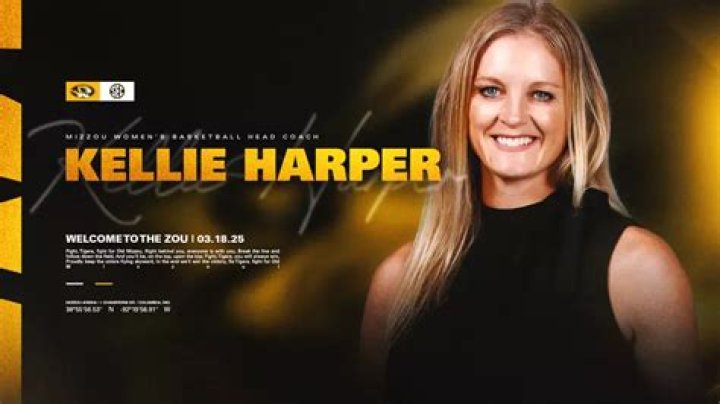 Kellie Harper | ZenSync