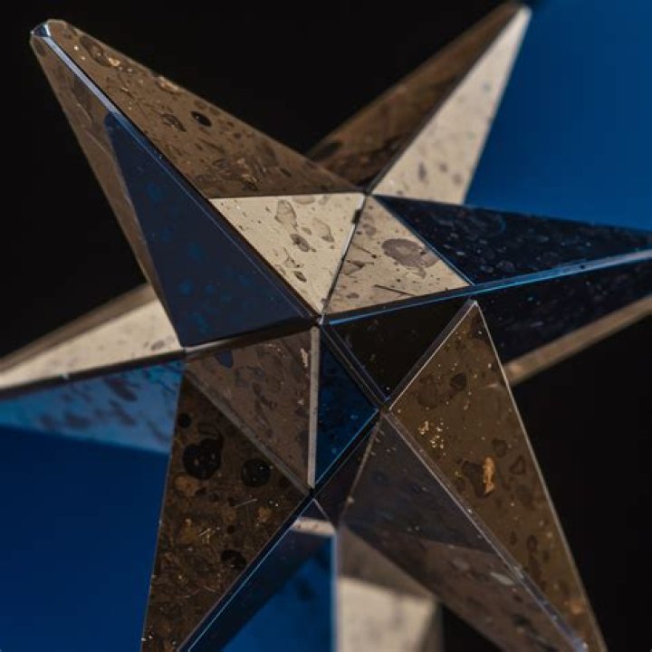 Style Icon And Multifaceted Star
