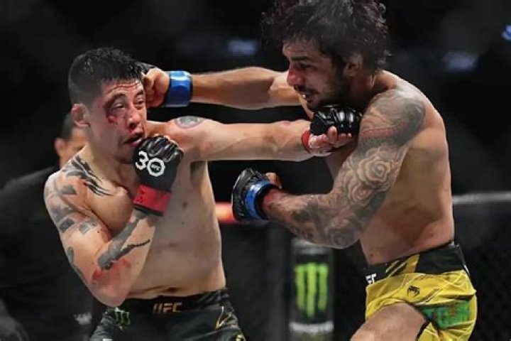 UFC: Heroic Brandon Moreno: Fought with broken hand from first round against Alexandre Pantoja