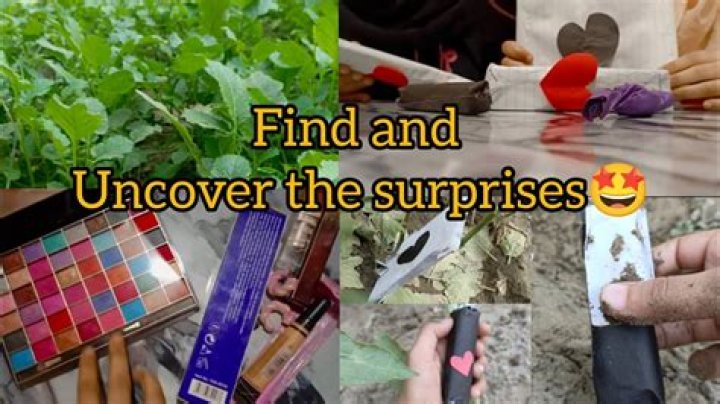 Uncover Hidden Traits And Surprises