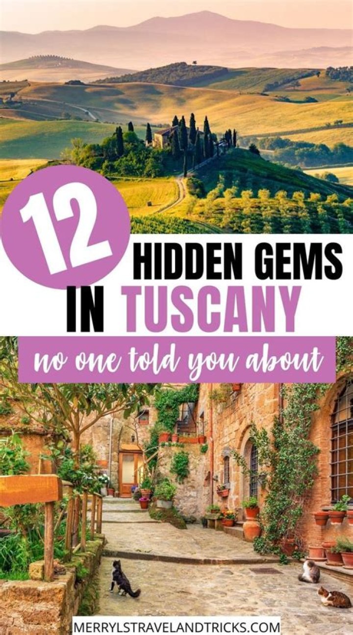 Uncovering The Hidden Gems Of Wellsbury