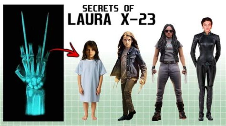 Unlock The Secrets Of Laura Jarrett's Wikipedia Page