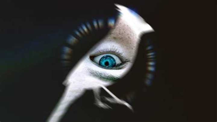 Unveiling The Hidden Influence: "Scott Adams' Wife" Revealed