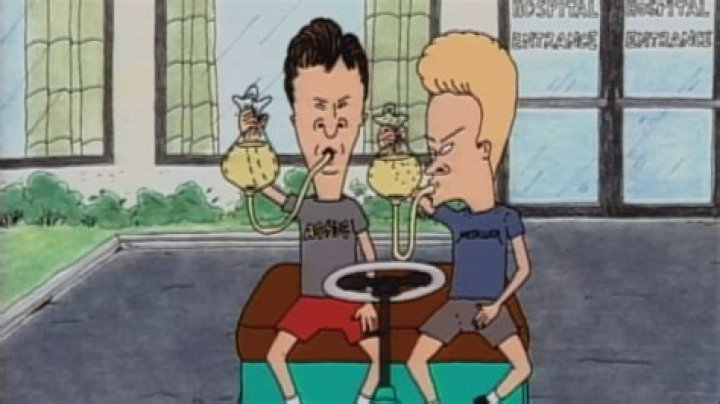 Unveiling White Privilege In "Beavis And Butt-Head": Discoveries And Insights